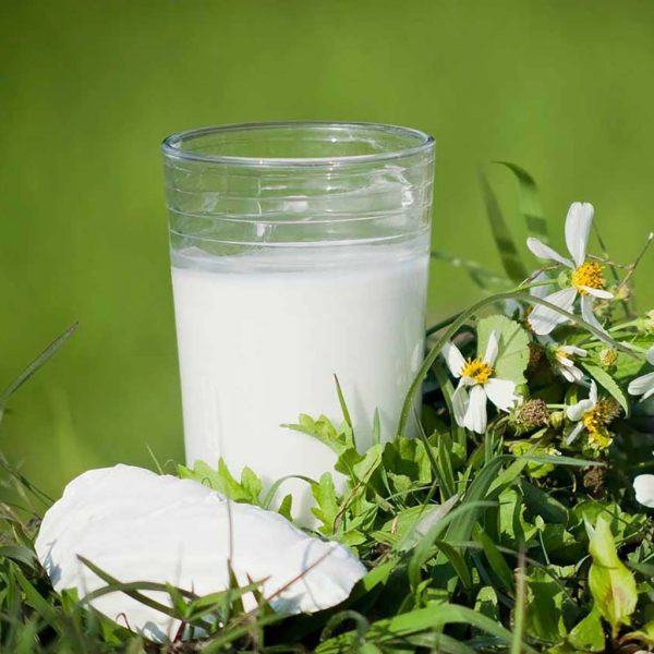 Bột Sắn Dây Nguyên Chất