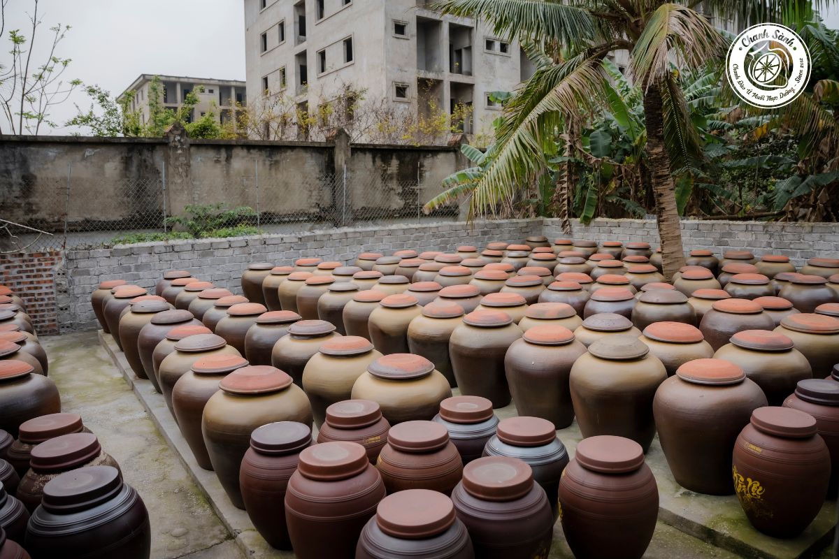 Nguồn gốc của chanh sành